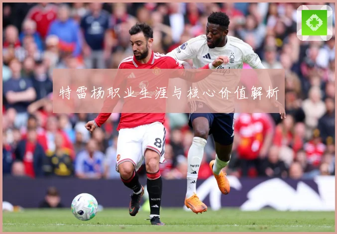 特雷杨职业生涯与核心价值解析