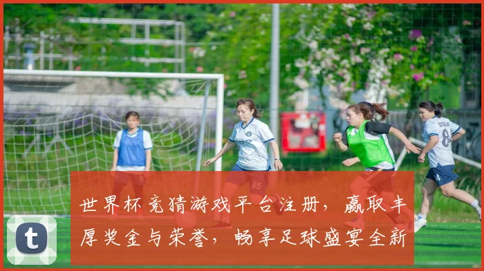 世界杯竞猜游戏平台注册，赢取丰厚奖金与荣誉，畅享足球盛宴全新体验