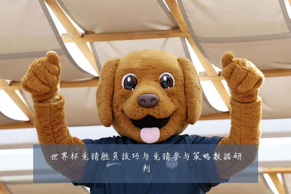 世界杯竞猜胜负技巧与竞猜参与策略数据研判